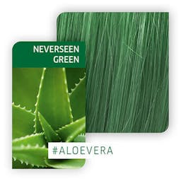 Color Fresh CREATE NEVERSEEN GREEN