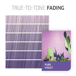 Color Fresh CREATE PURE Violet