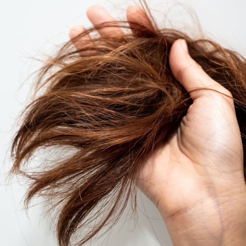 What Does Damaged Hair Look Like