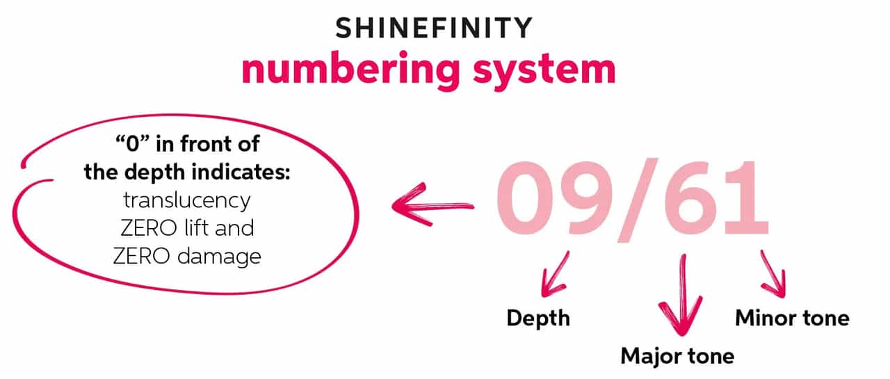 thumbnail shinefinity toptips numbering