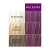 colorcharm PAINTS™ Paints Mulberry