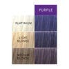 colorcharm PAINTS™ Paints Purple