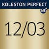 Koleston Perfect 12/03 Special Blonde Natural Gold Permanent